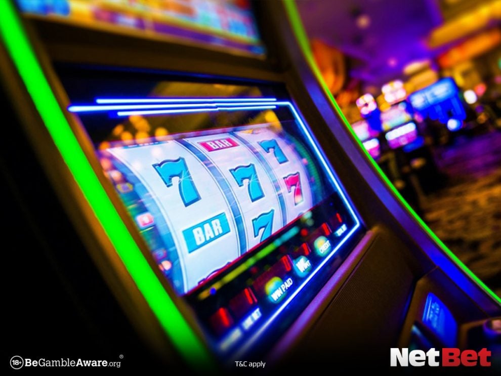 cactipg - Login Oficial Bet