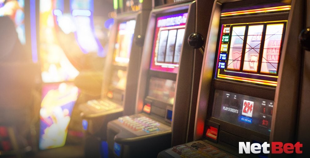 cactipg - App para Cassino Bet